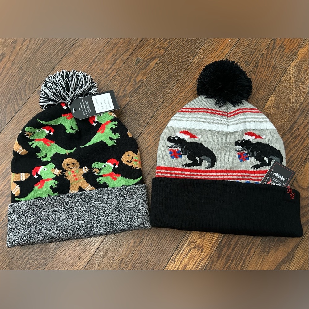 Funny Holiday T-Rex Beanie set.